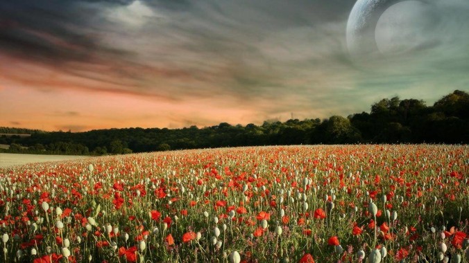 为什么穷人的孩子很难成功？